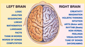 Left_Vs_Right_Brain